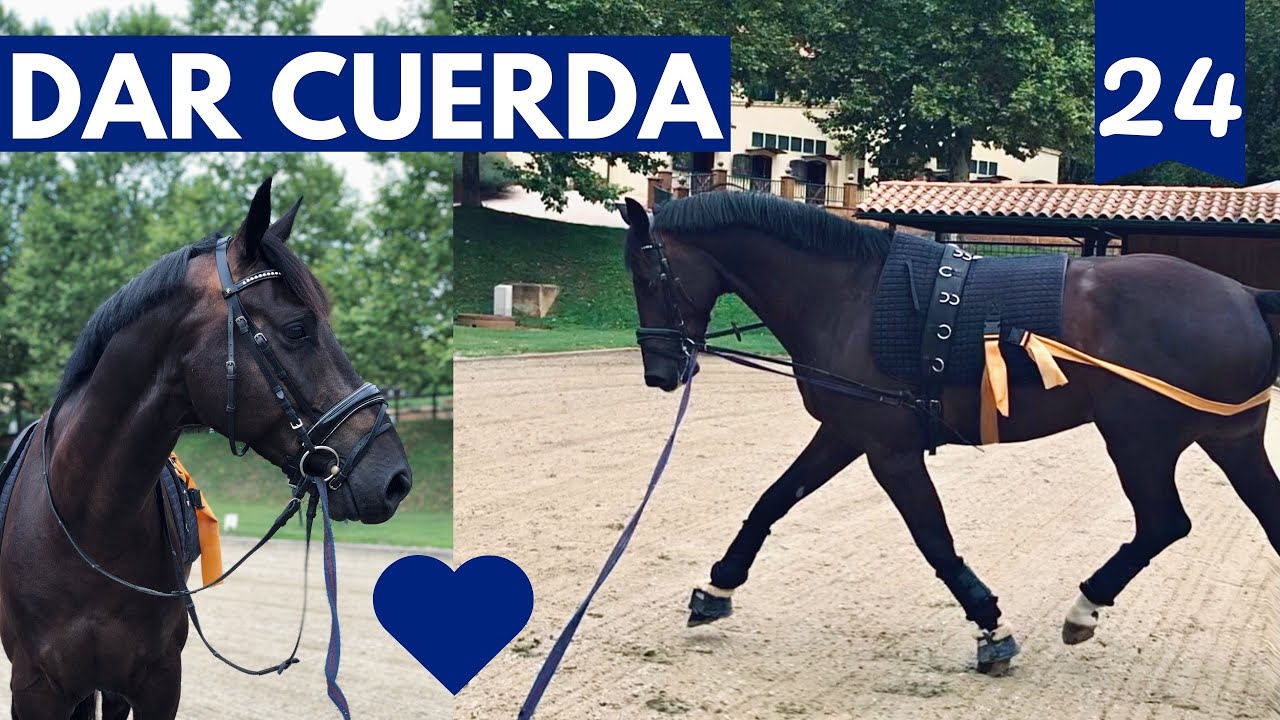 Aprende a dar cuerda a tu caballo! 🤸🏼