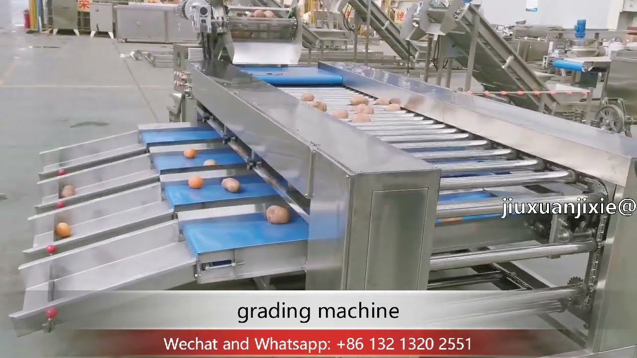 potato orange dragon fruit size grading machine fruit and vegetable grading production line