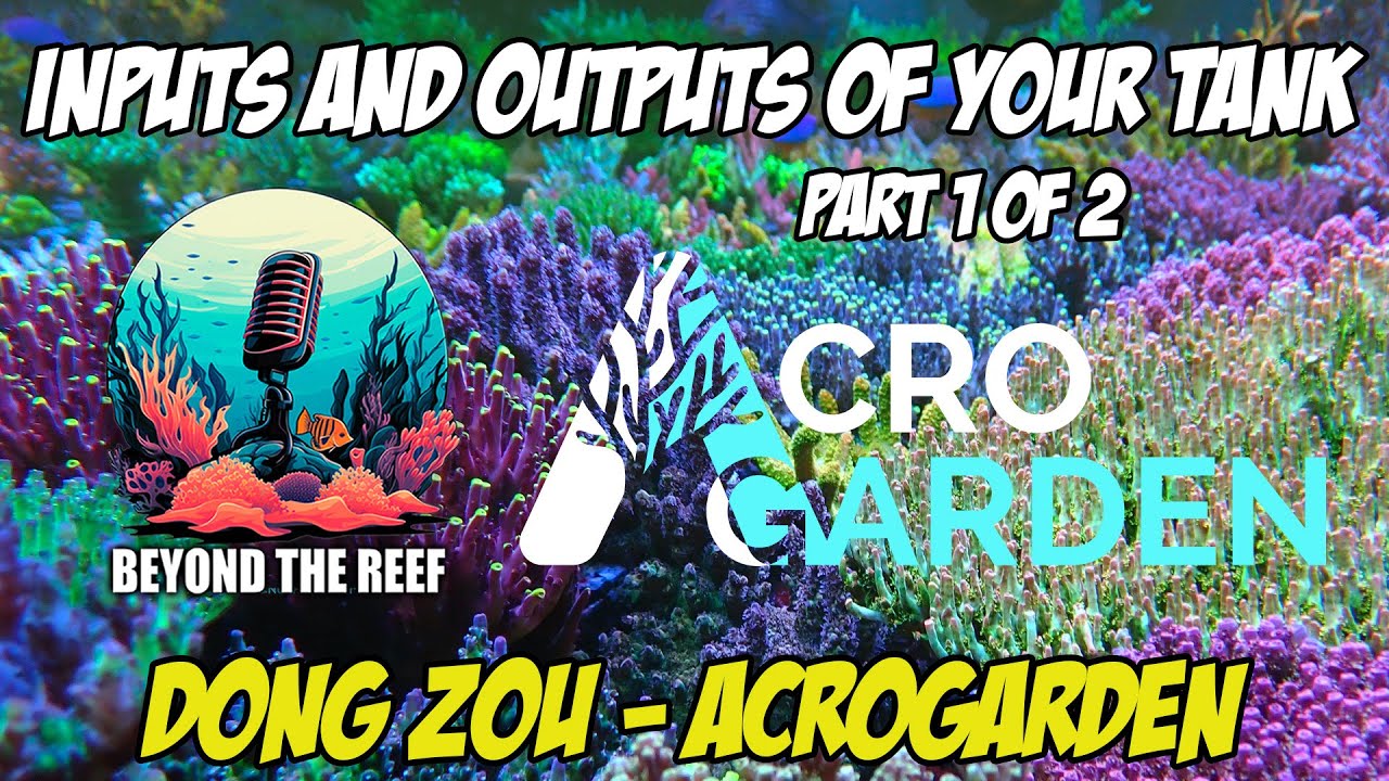 Episode 36: Inputs & Outputs Of Your Reef Tank: Dong Zou - AcroGarden (pt 1)