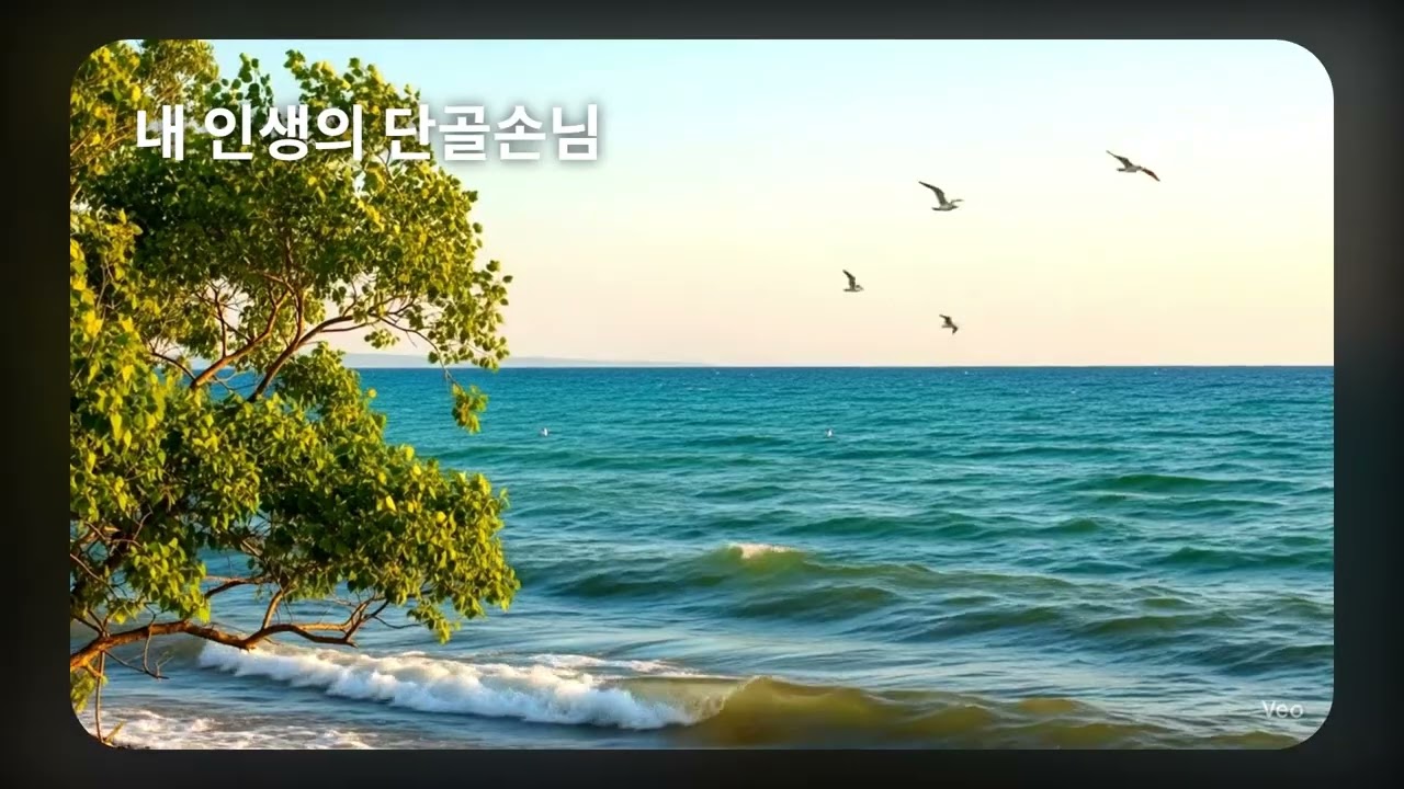 서해 바다의 기운을 영상으로 담은 인생 신트로트 10곡 메들리 🌊 | 마음까지 뻥 뚫리는 신바람 여행