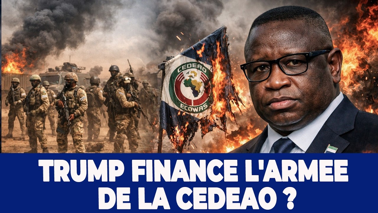 LA CEDEAO VEUT CRÉER SON ARMÉE : POUR COMBATTRE L'AES ?