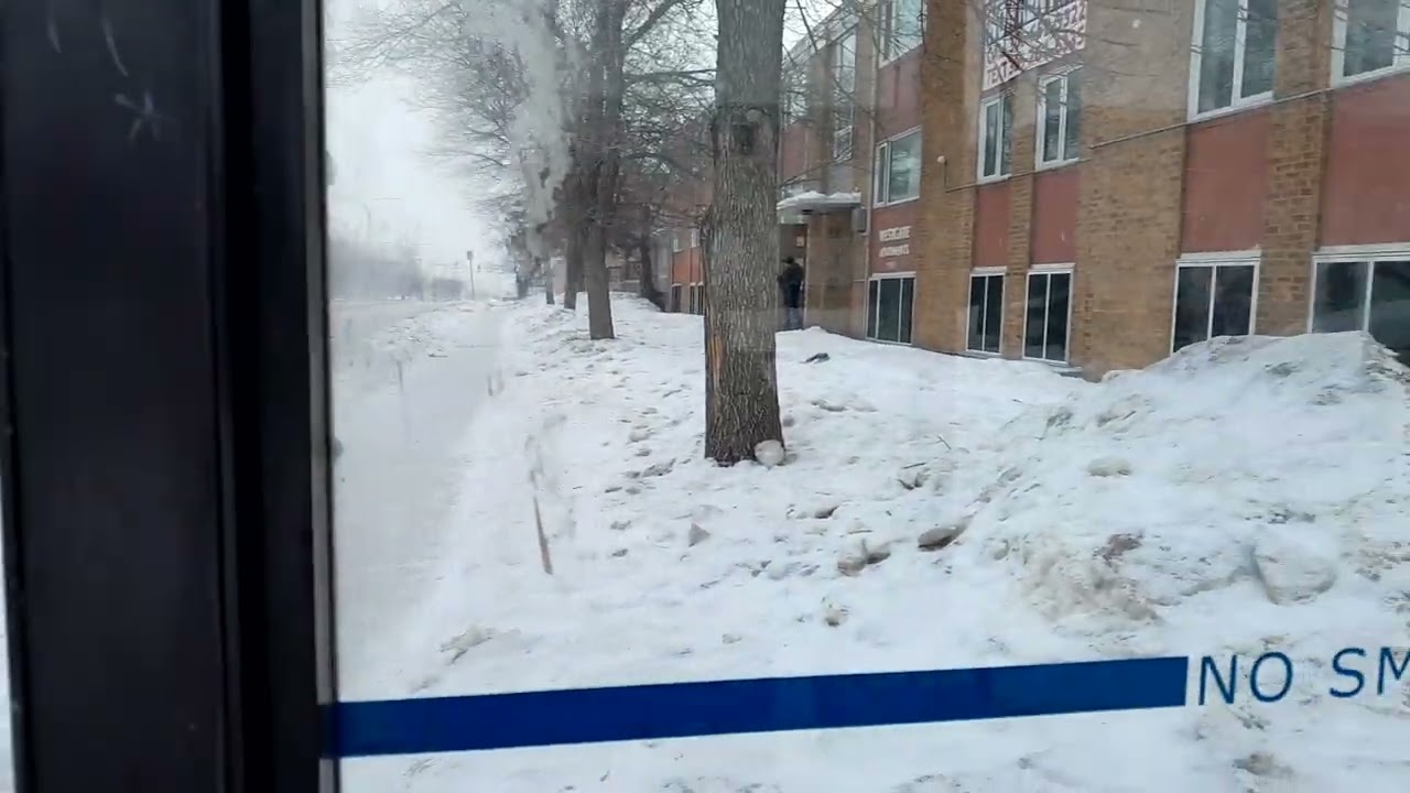 life in Saskatoon 1