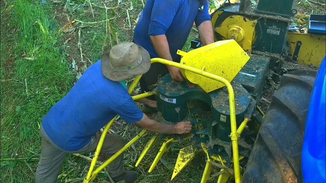 Kit de área total MKM na ensiladeira pinheiro Max Gold e New Holland tl5.80 cortando milho