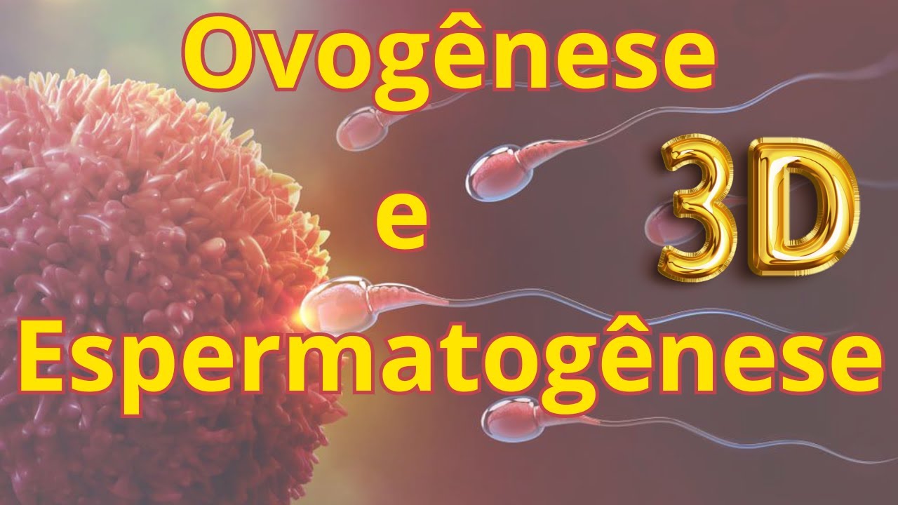 Entendendo a Ovog&ecirc;nese e Espermatog&ecirc;nese: Uma An&aacute;lise Fisiol&oacute;gica e Histol&oacute;gica