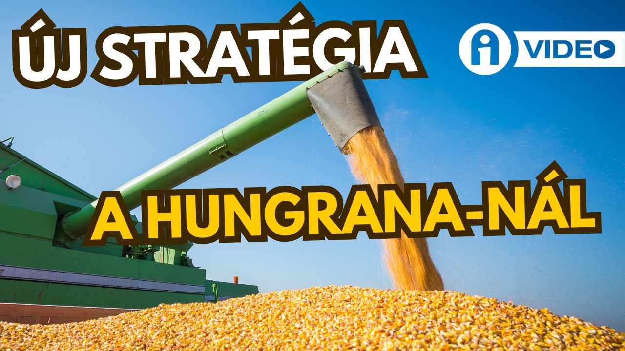 Mi vár a kukoricára 2025-ben? – A Hungrana új stratégiája