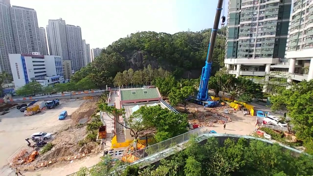 Hong Ning Road Park Tree Transplant 25 Oct 2018