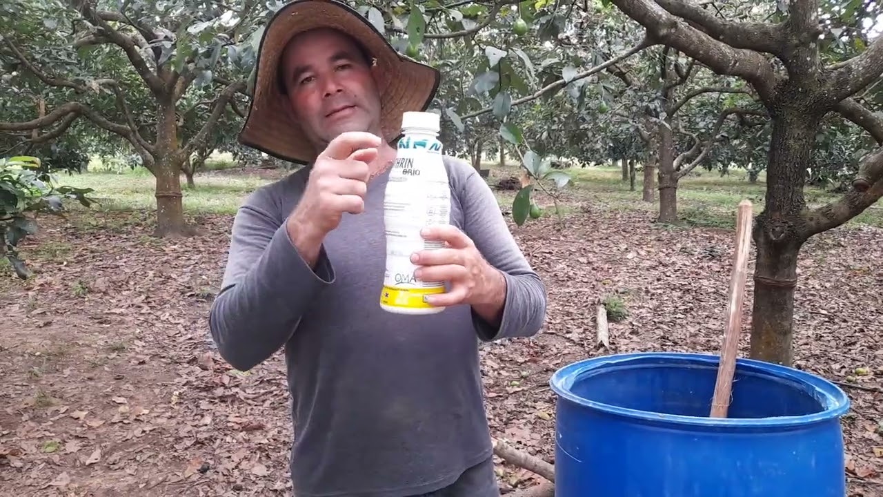 Como controlar el gusano en el cultivo de aguacate, los invito para que miren este video.