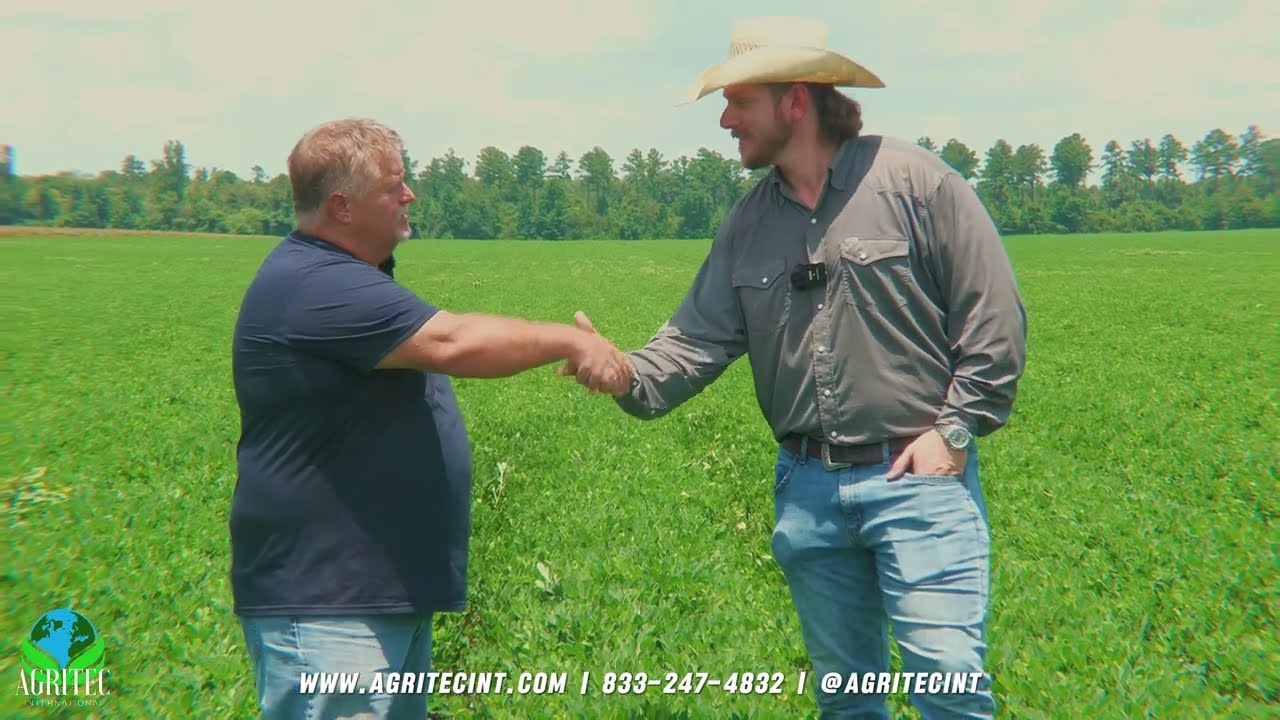 How to Farm Peanuts in Florida | AgriTec