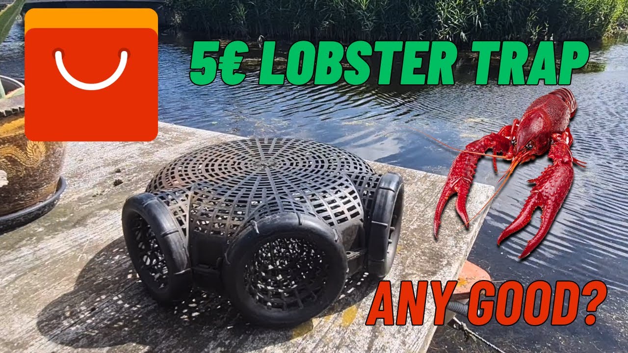 Best Cheap Crawfish Trap? AliExpress €5 Trap Review