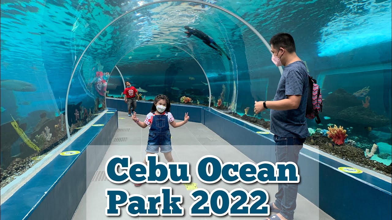 CEBU OCEAN PARK | Largest Oceanarium in Cebu, Philippines!