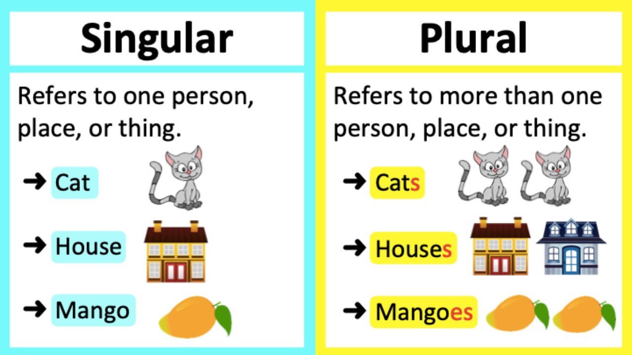 SINGULAR VS PLURAL NOUNS 🤔 | What's the difference? Learn with examples