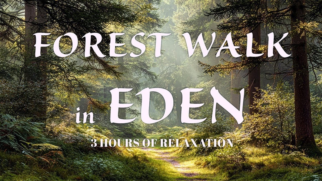 Walking With God in the Cool of the Day 🌿 Forest Prayer Sounds | EdenSound Sanctuary