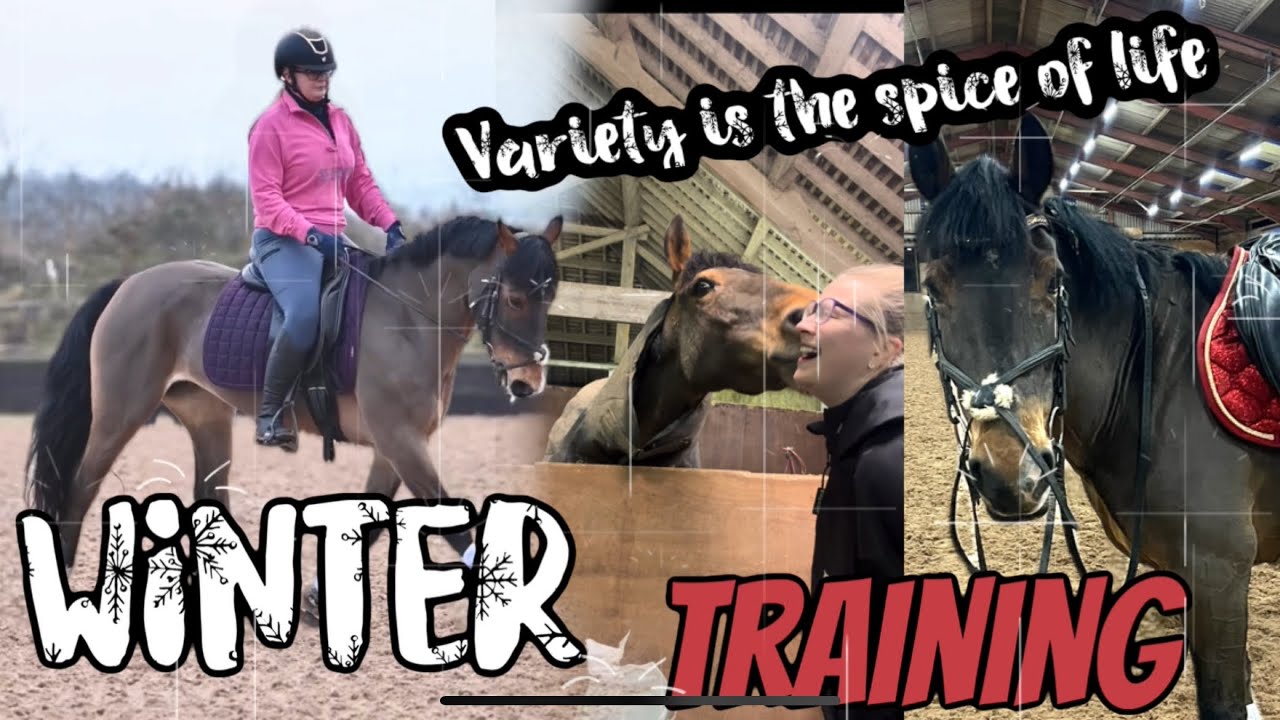 WHIZZYWELSH WINTER TRAINING  | Variety is key!