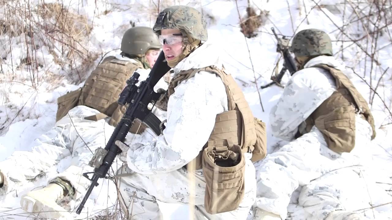 Marines perfect squad assault tactics in cold weather mountain training