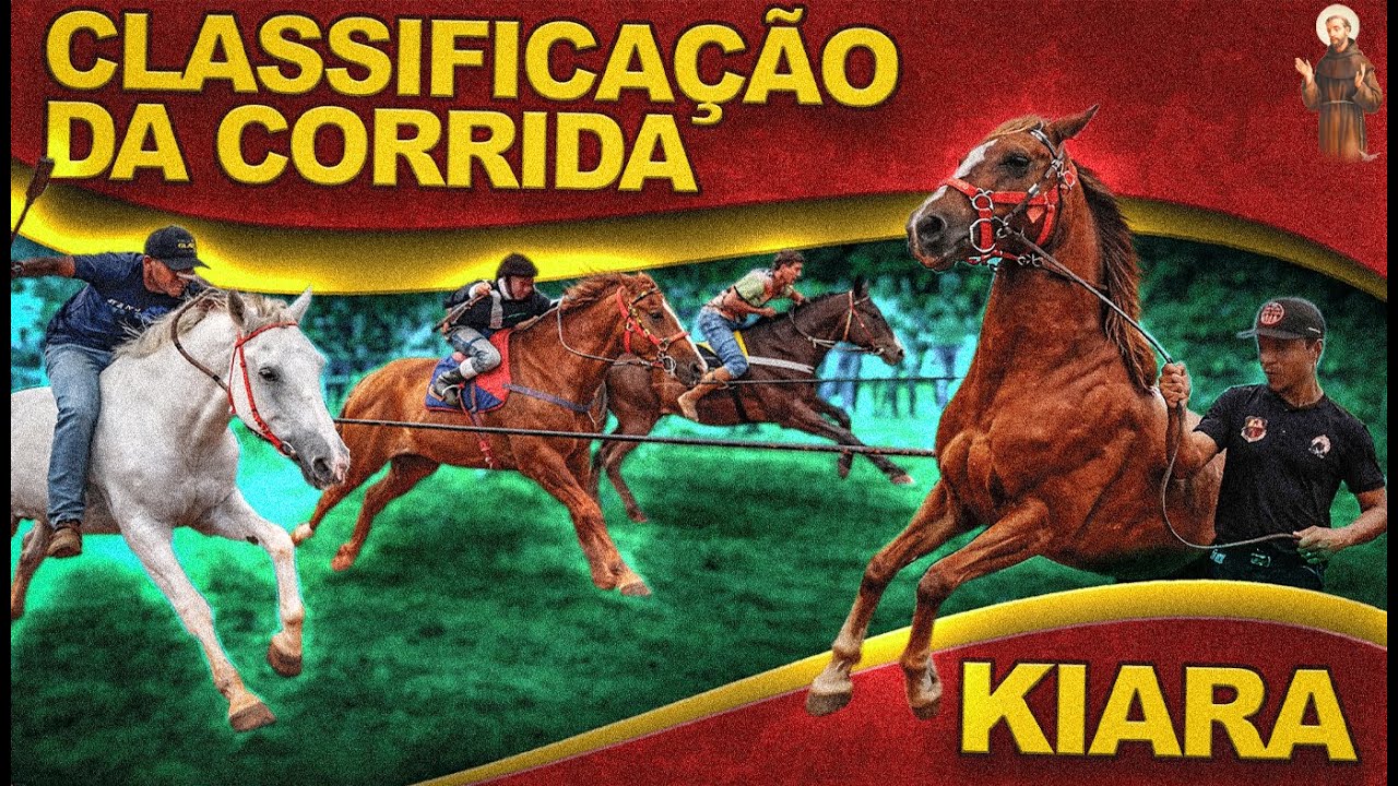 Corrida de cavalo Classificação dos animais