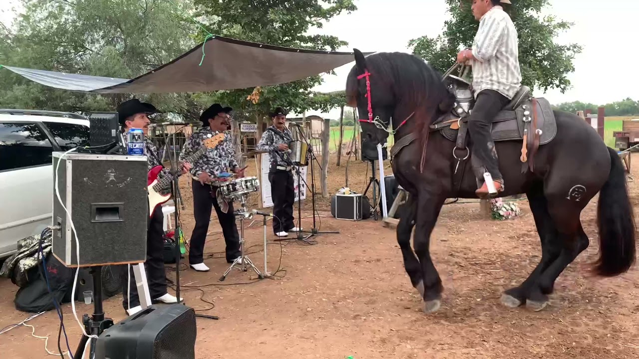 Traviesos de maz