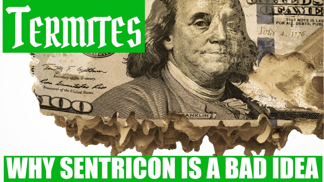 Системы приманок для термитов Sentricon и почему они НЕ работают!