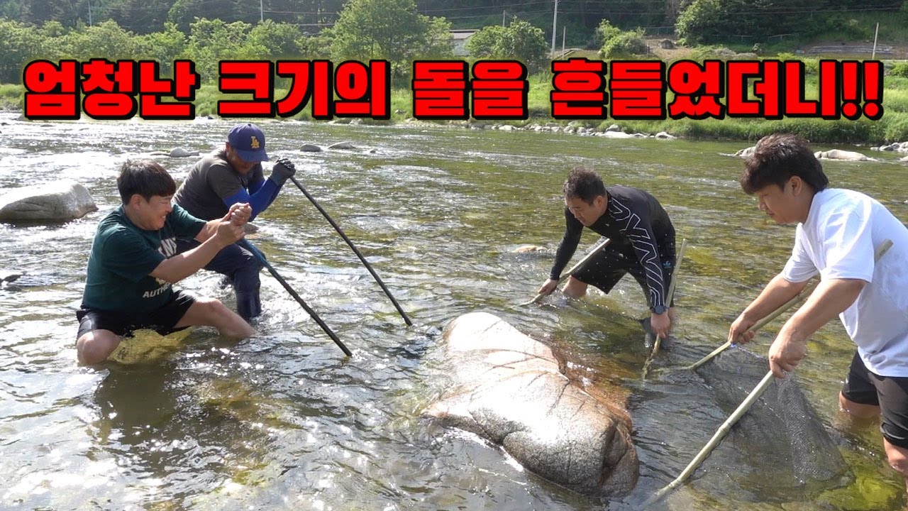 모내기철! 물이 뜨뜨해지니 대물들이 큰돌밑으로 다들어갔다!! 최고 보양식! / Freshwater fish of good size keep coming out.