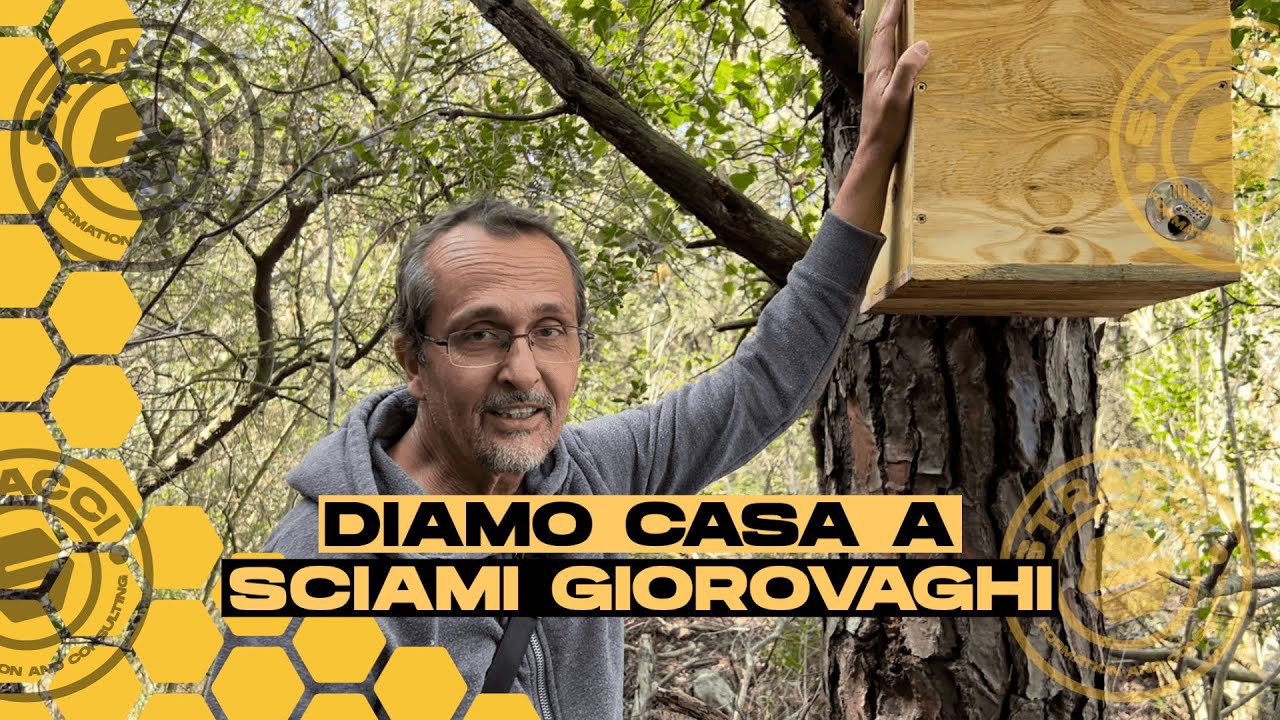 Installazione delle Arnie Trappola GS - Ecco come attiriamo a noi Sciami GRATUITAMENTE!