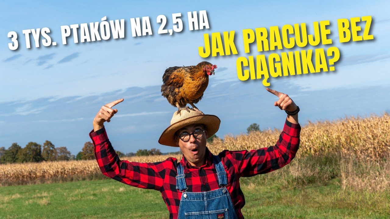 Od 50 kur do 3 tys. ptak&oacute;w. Jak Szalony Pasterz zbudował biznes?