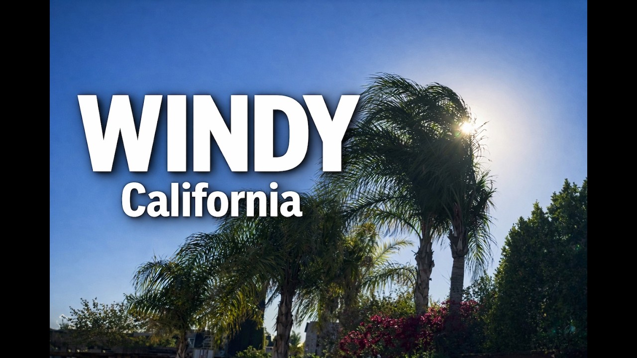 Windy Afternoon in my Backyard/Real Wind Sounds for Relaxing(1Hour)