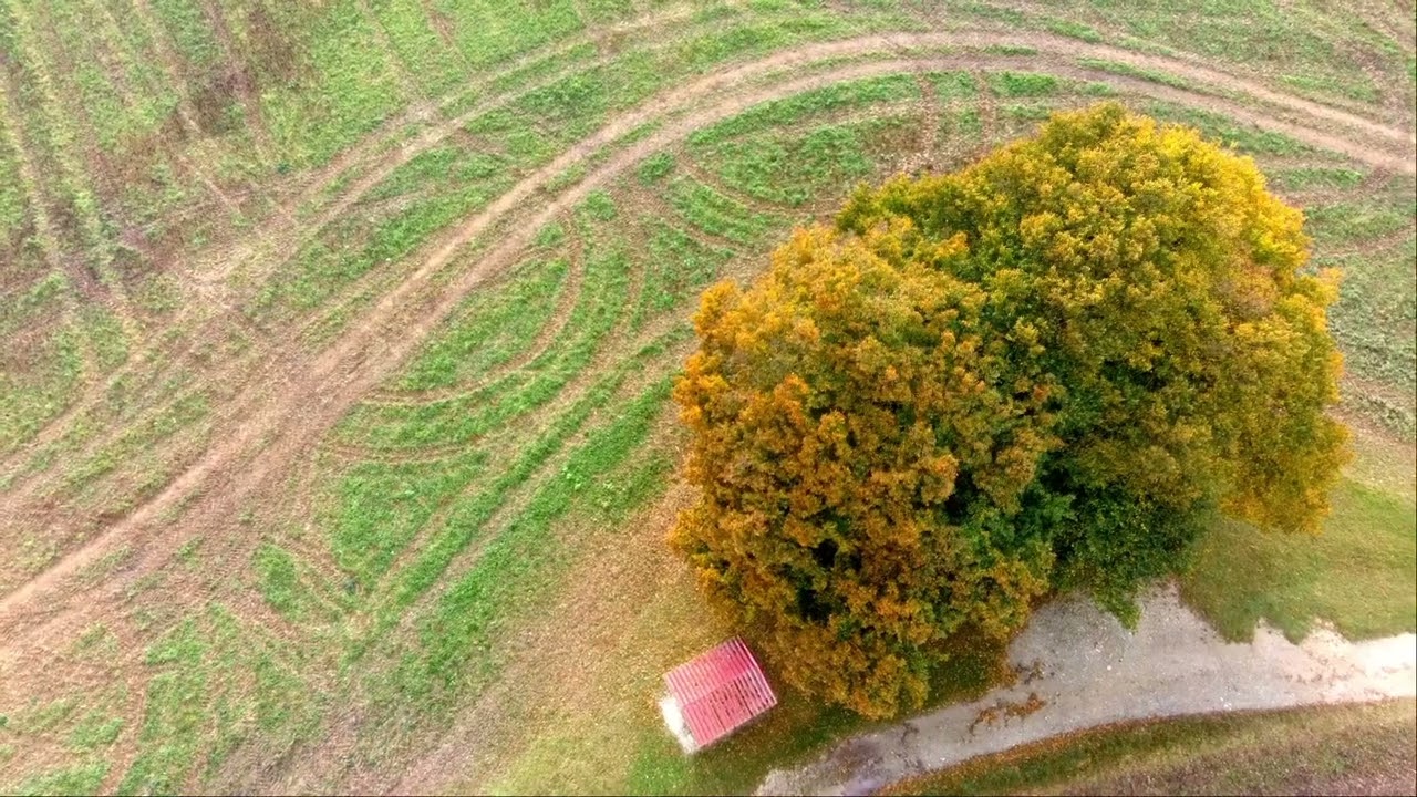 Der Herbst und seine bunten Farben Bilder aus dem Eichsfeld