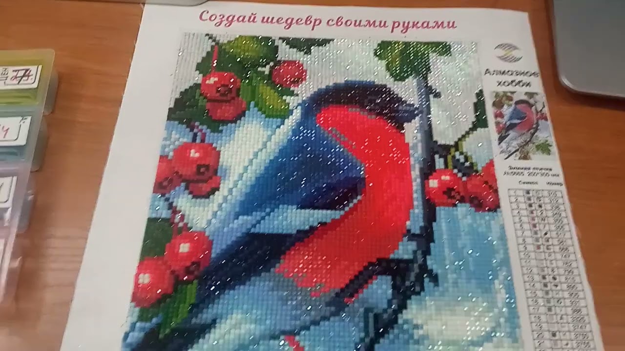 Финиш, Снегирь. Алмазная мозаика