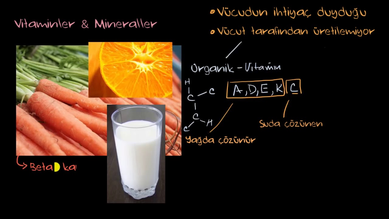 Vitaminler ve Minerallere Giriş (Fen Bilimleri) (Biyoloji)