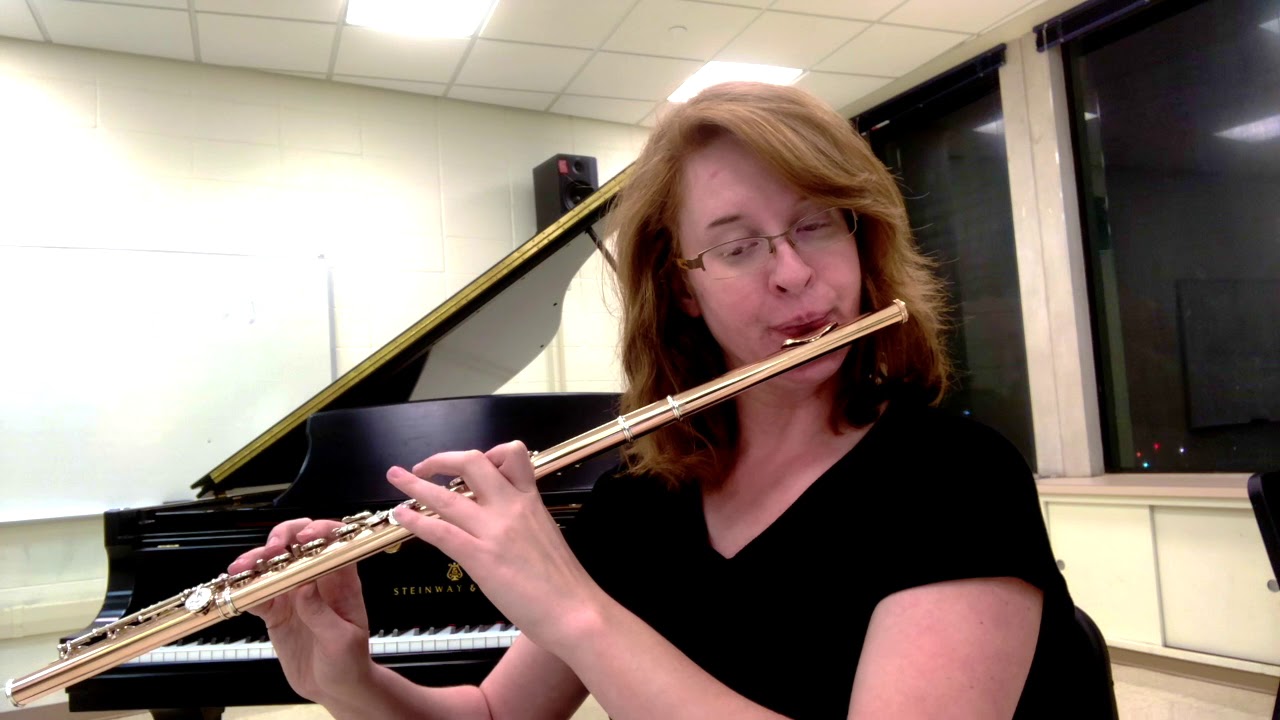Play Along! Six Duets for Two Flutes, Op. 75, No. 1, Movement 2, by W. A. Mozart