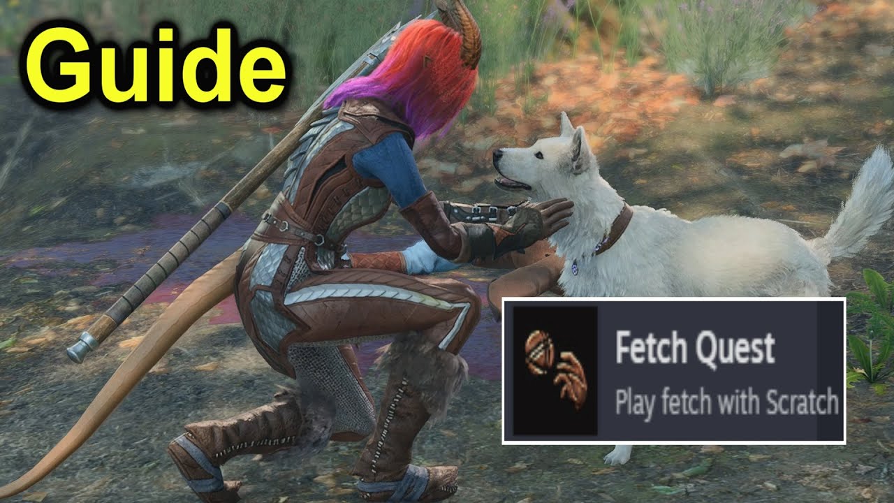 Fetch Quest Achievement Guide | BG3