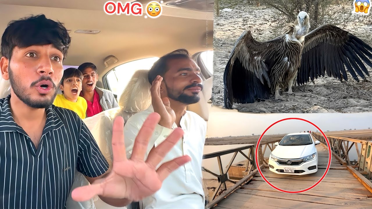 BIGGEST VULTURE KO RESCUE KARNY KY LEAY HUM BHOT KAREEB PONCH GY 😱