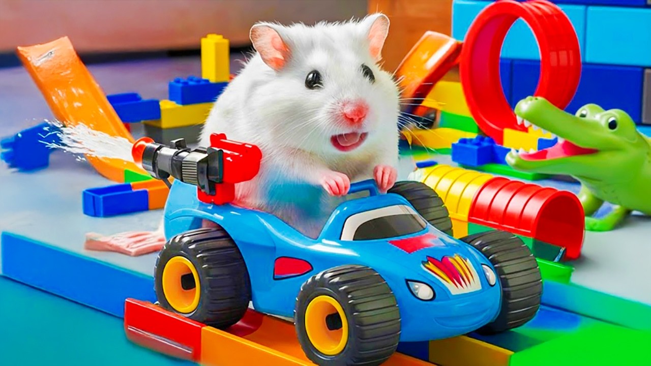 Hamster Escapes from a Maze of Dangerous Crocodile Races | Hamster Maze