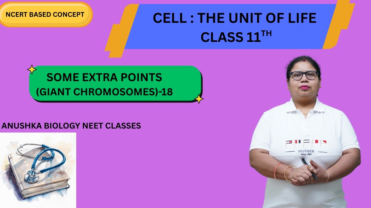 CELL : THE UNIT OF LIFE CLASS 11TH -SOME EXTRA POINTS(GIANT CHROMOSOMES)
