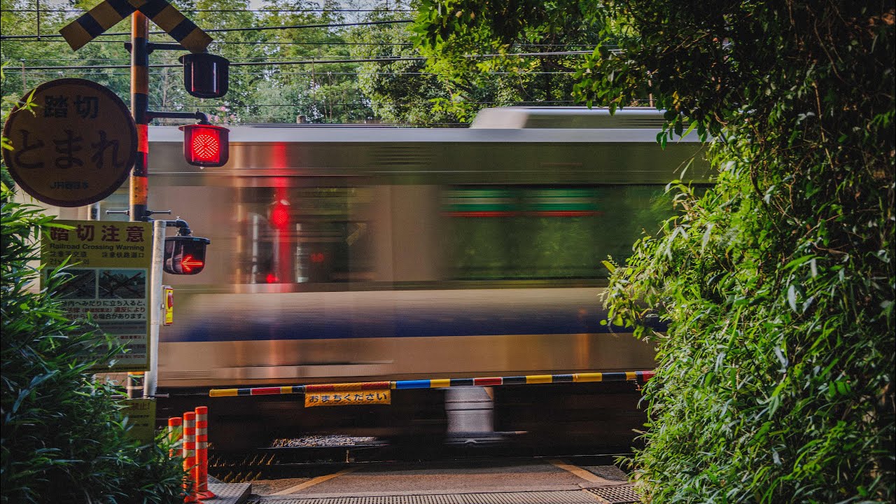 Walking in Japan: Arashiyama Bamboo Forest, Saga Toriimoto Preserved Street