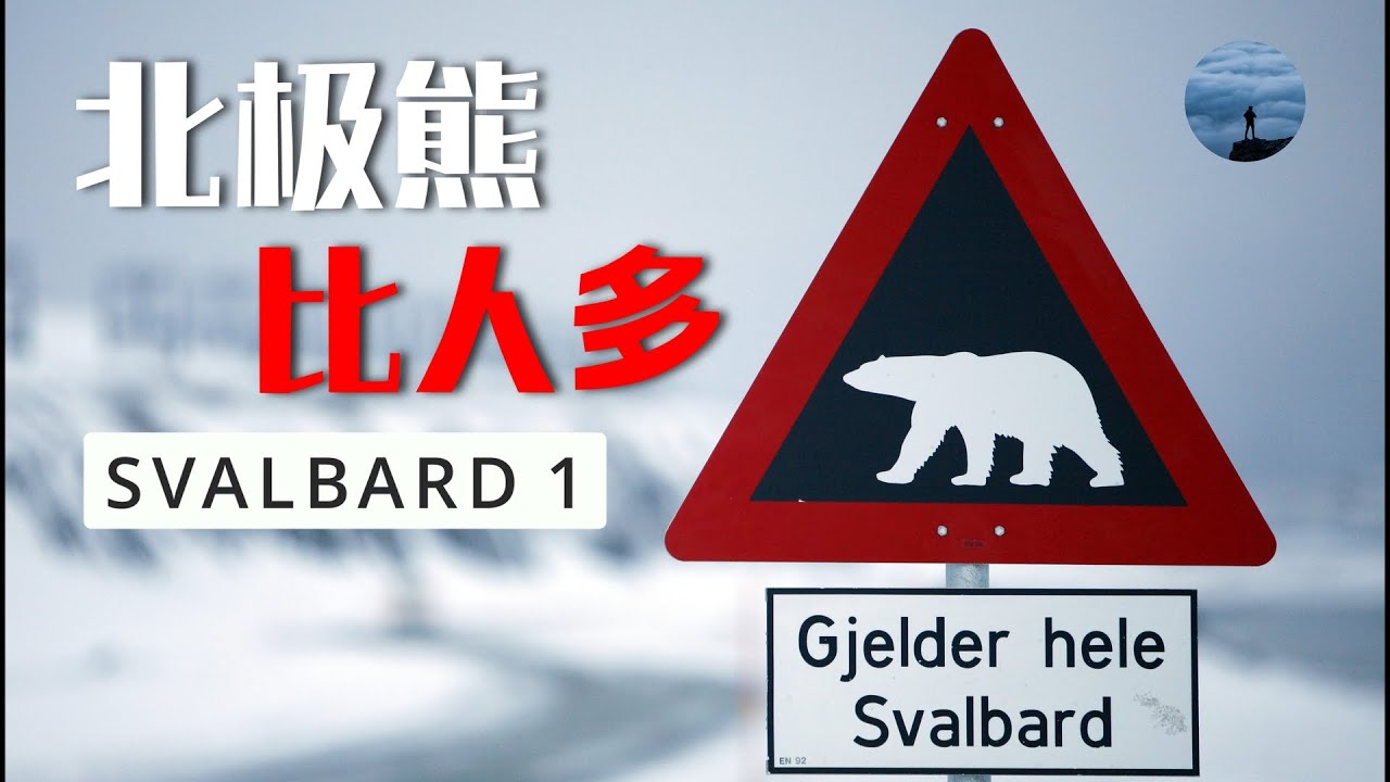 這裡的北極熊竟然比人還多！斯瓦爾巴群島為何如此迷人？ | 山間漫譚
