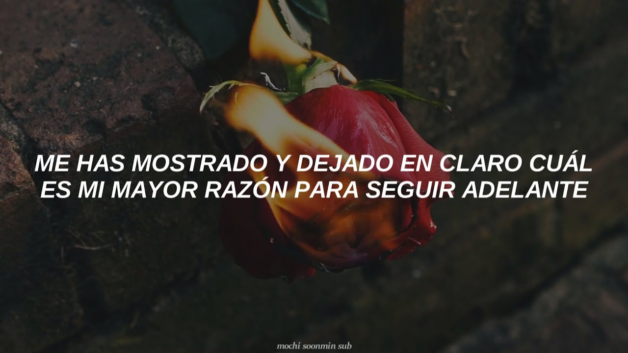 ❦ SEVENTEEN ║ Anyone 「sub español」❦