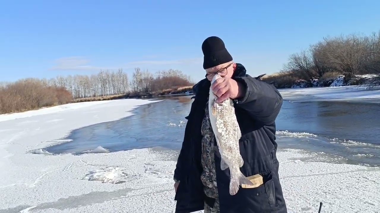 Желанный трофей 4