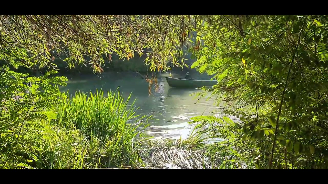 AICI AM CAMPAT PATRUZECI DE ANI