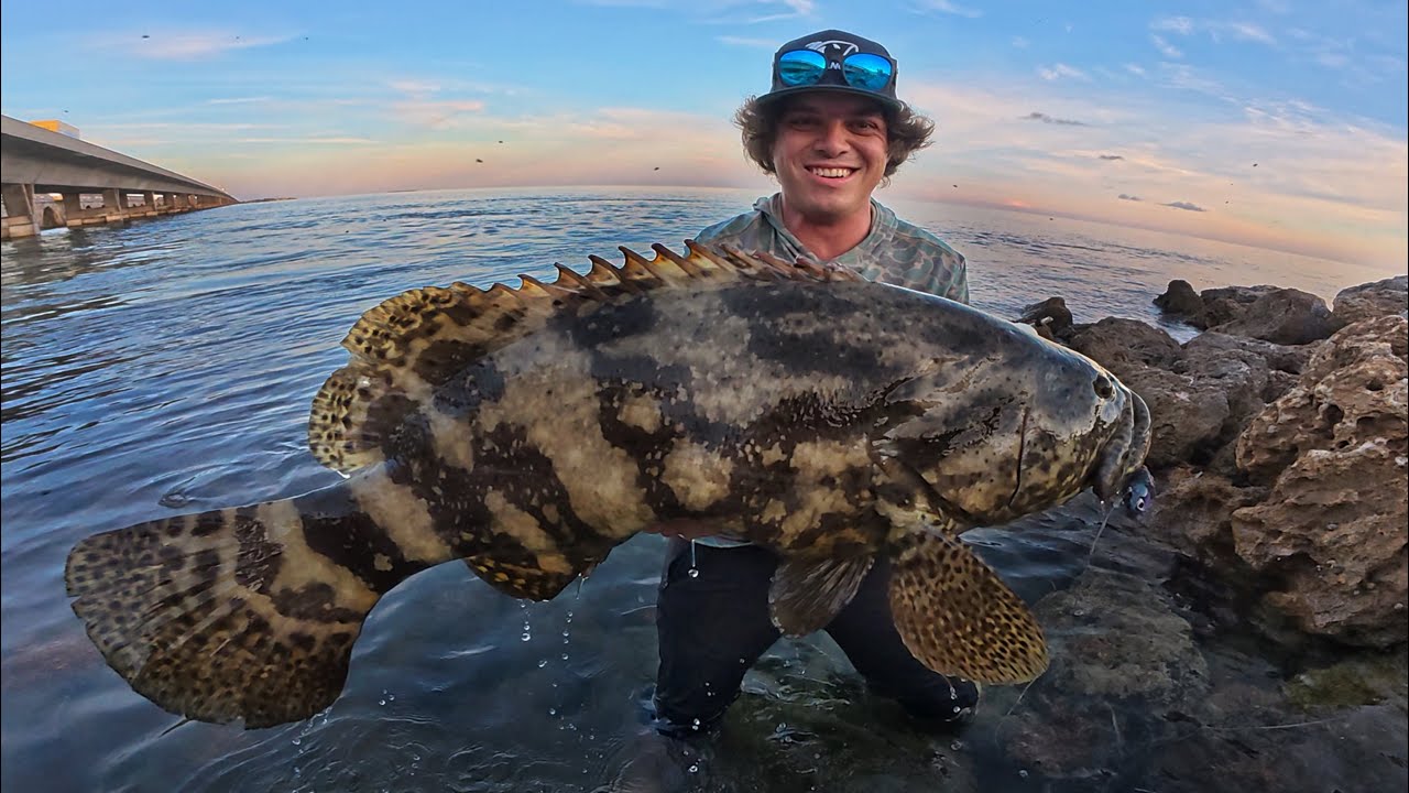 Pesca &Eacute;PICA de los Puentes en el Mar! | Mero Goliat, S&aacute;balos Gigantes y Jureles 