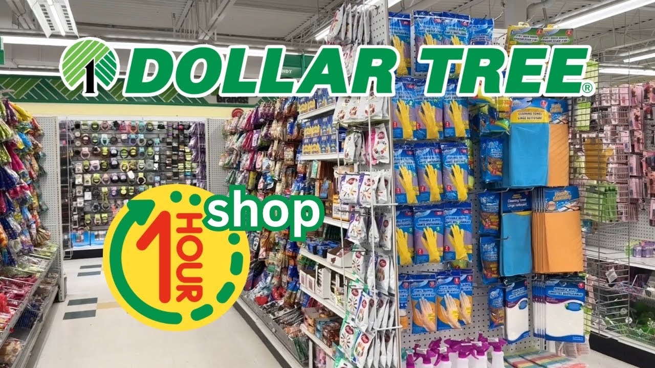 1 Hour Dollar Tree Shop with me  *compilation