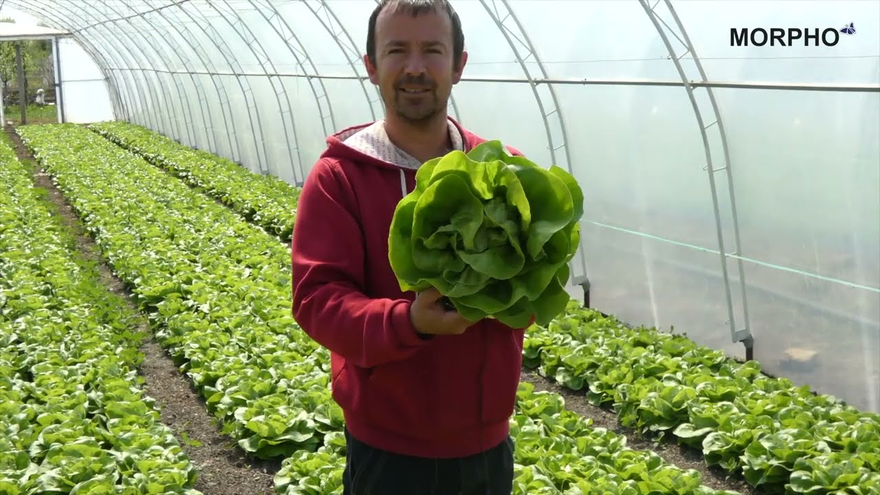 Ekološki preparati protiv zemljišnih štetočina - Morpho