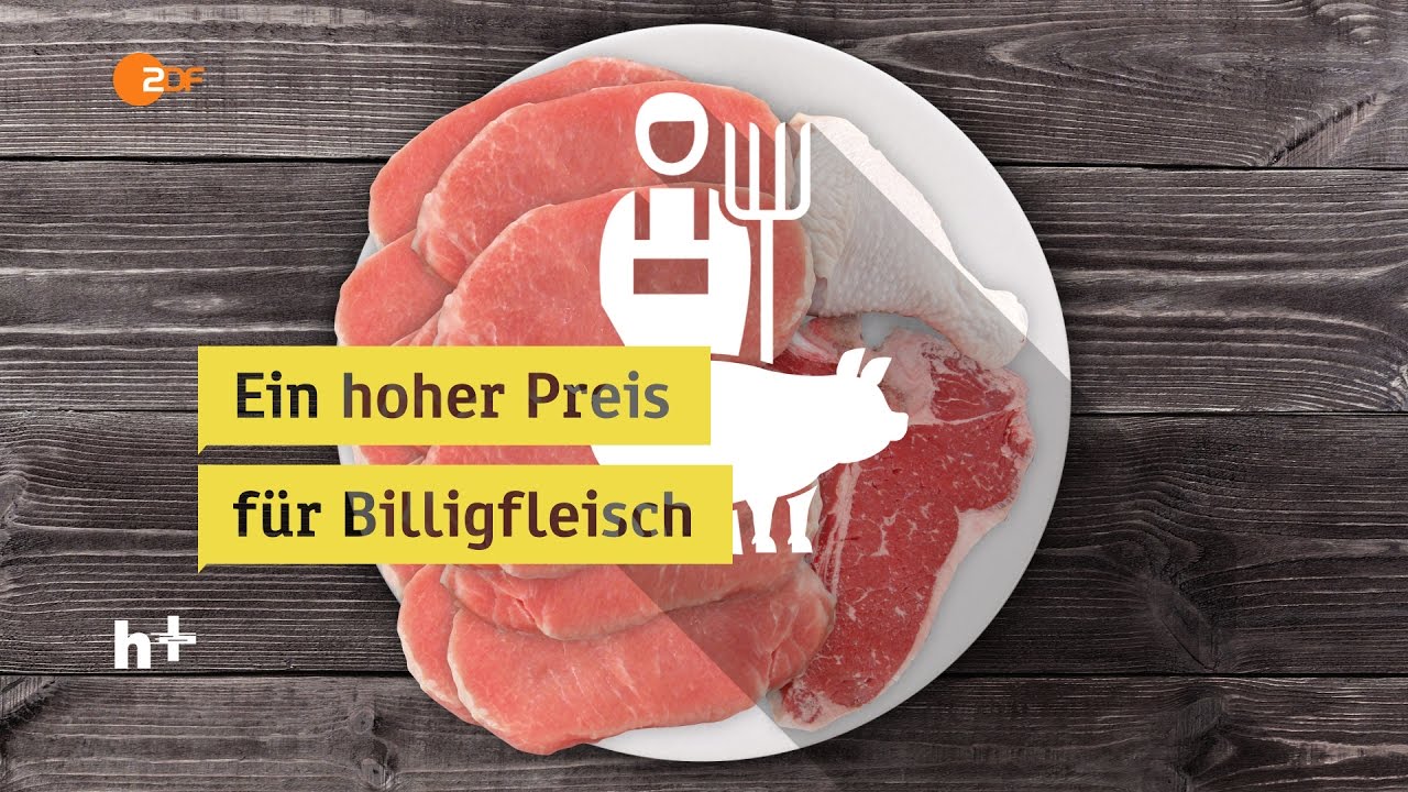 Ein hoher Preis f&uuml;r Billigfleisch  - heuteplus | ZDF