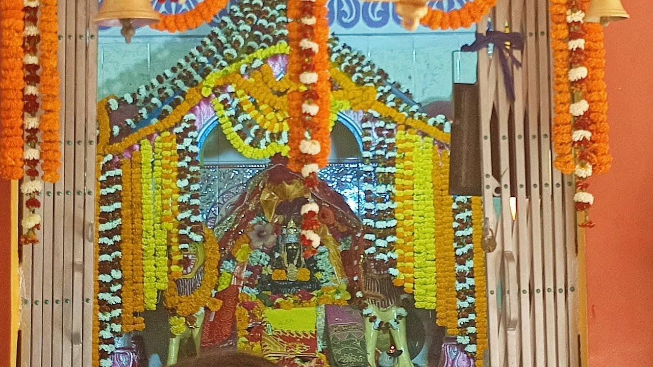 Maa Hingula Puja Vlog | Hingula Yatra Darshan | @sktubeodia3117  2026