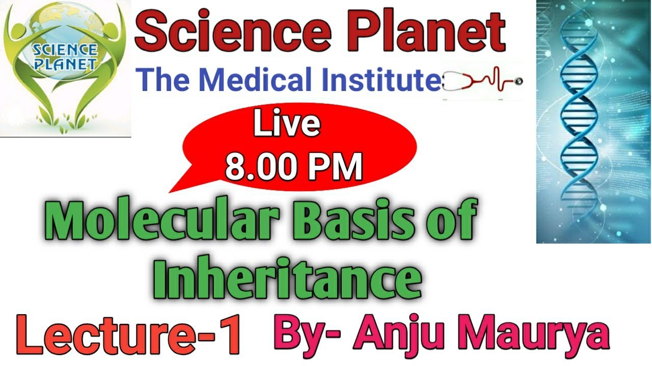 Molecular basis Of Inheritance || Lecture- 1|| By- Anju Maurya ||