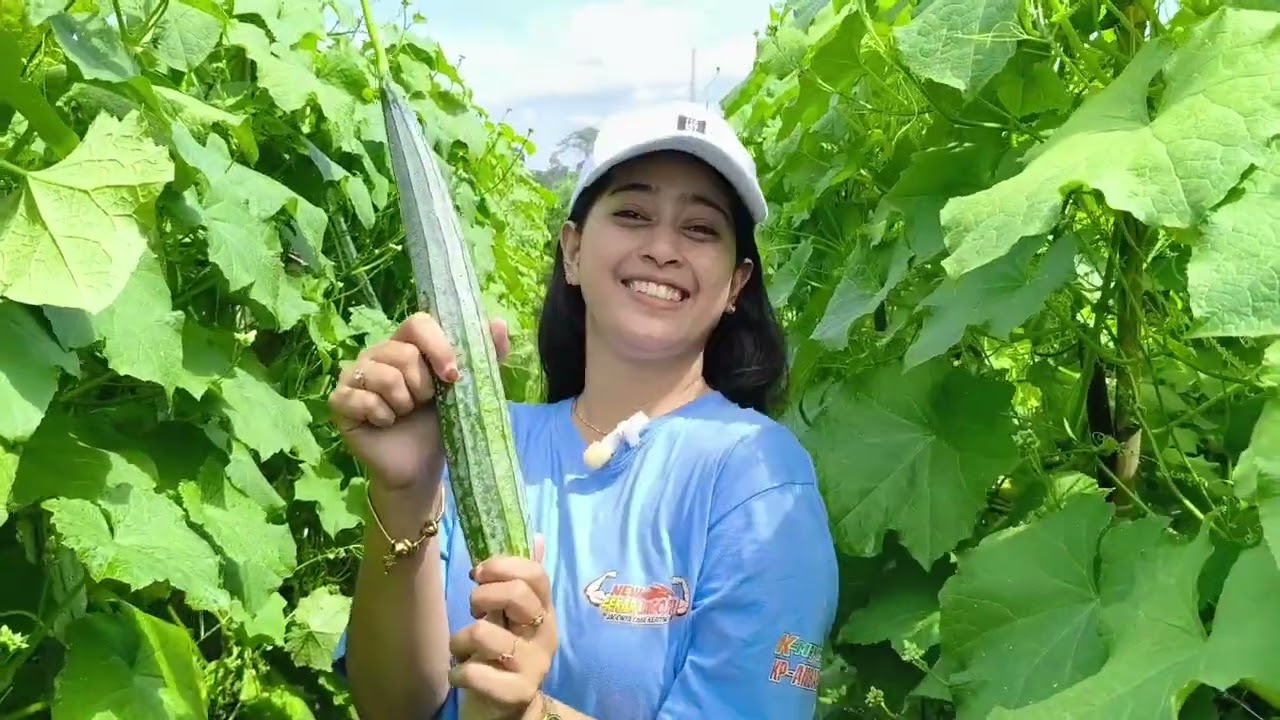 Gambas Vera memang luar biasa