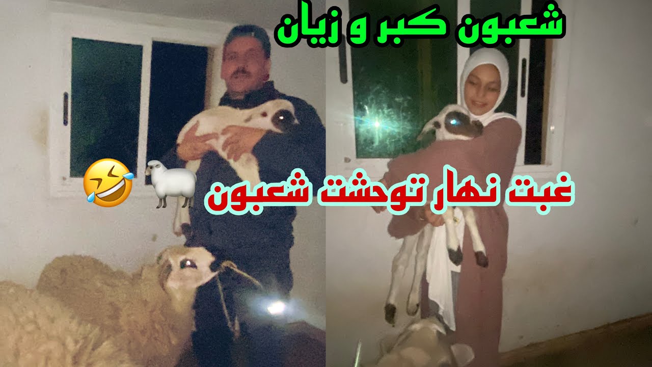 غيبت نهار توحشت شعبون فاطمة الزهراء تقلب على الگرون 🫎