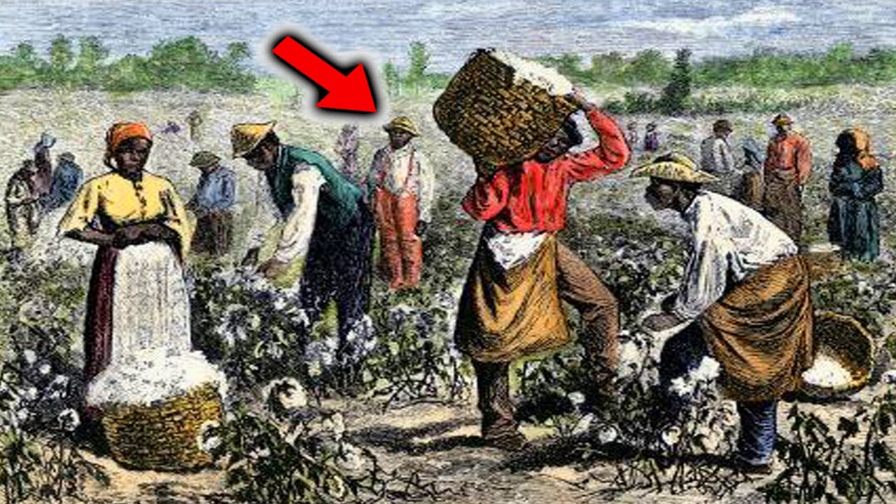 The Slave Story We Were Never Told About
