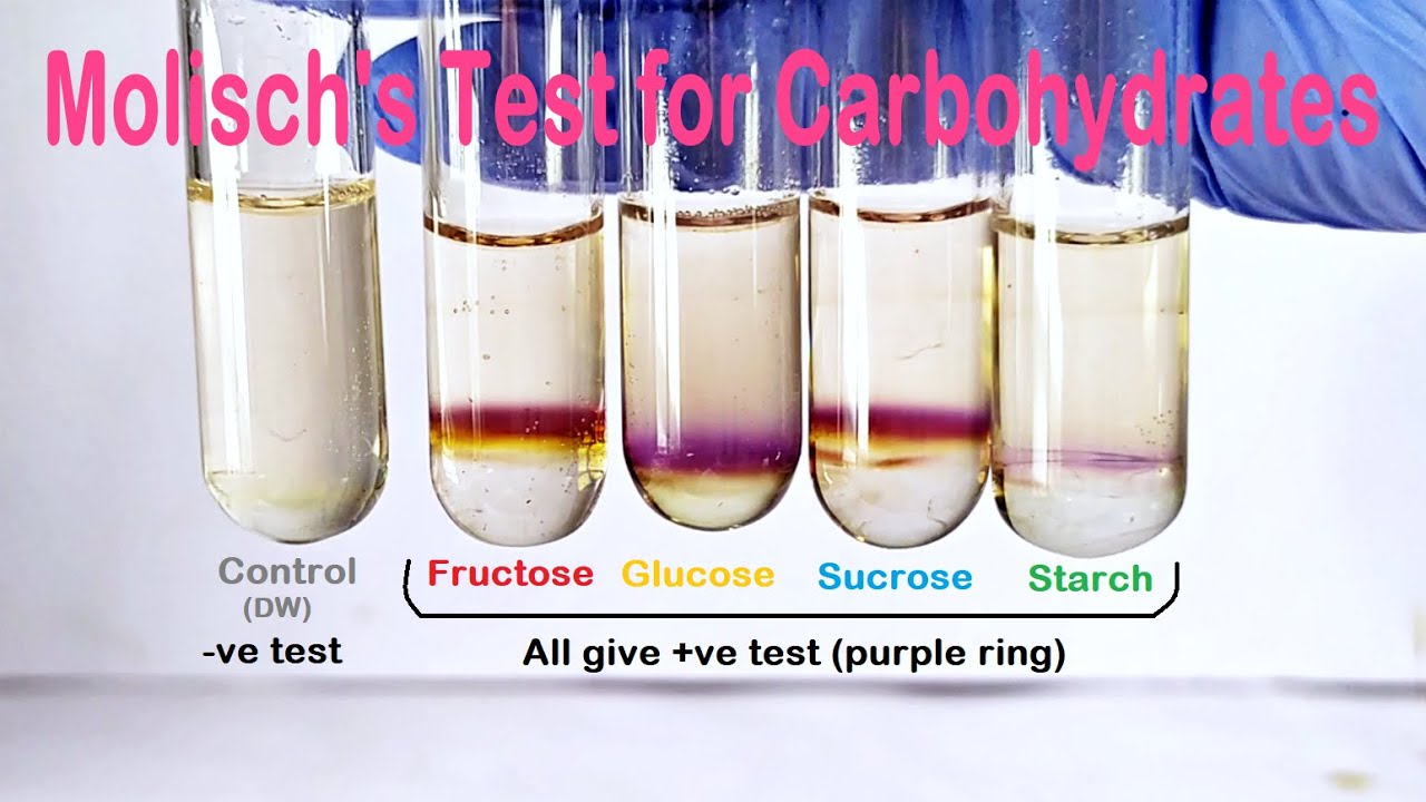 Molisch's Test Practical Experiment