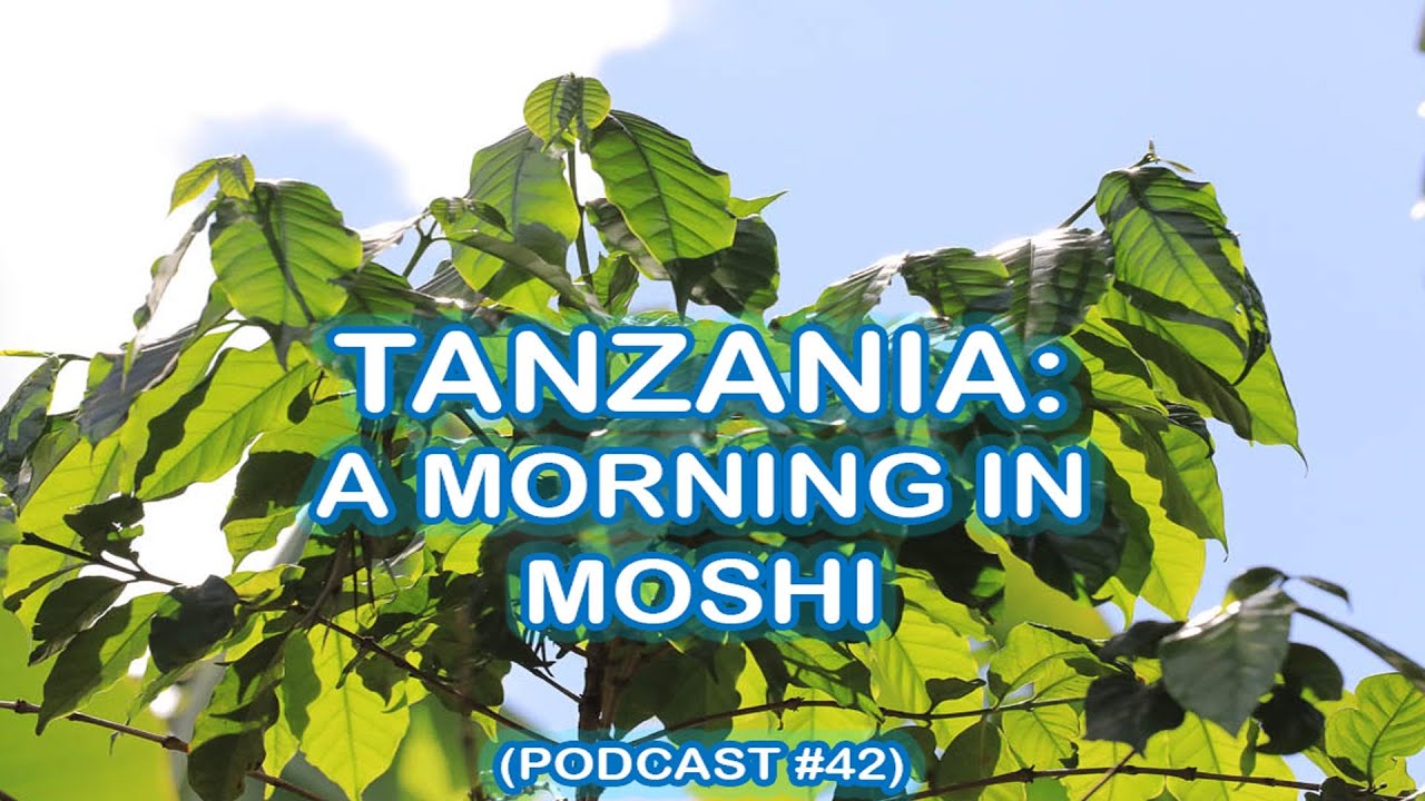 Tanzania - A Moshi Morning Recording (Podcast plus pictures)