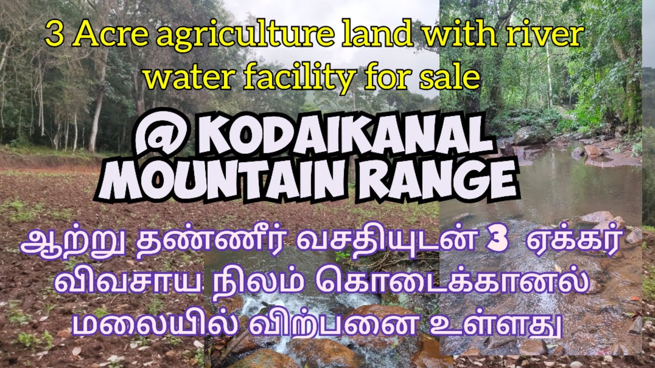 3 Acre agriculture with river water facility land for sale in kodaikanal mountain range
